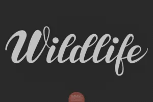6 Rekomendasi Nama Font yang Menarik untuk Desain Logo 7 61 06 Wildlife 1