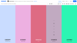 coolors.co